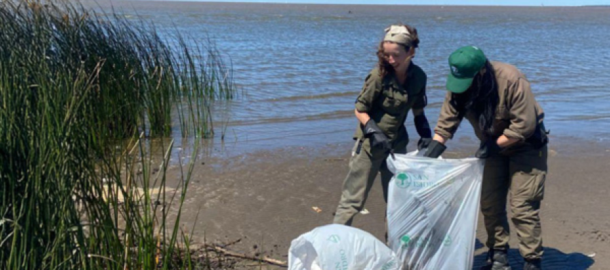 Jornada de limpieza comunitaria en la Reserva Natural de Acassuso