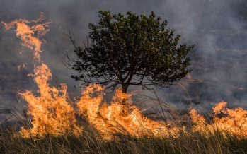 La Provincia vuelve a tener niveles de peligro extremos por incendios forestales