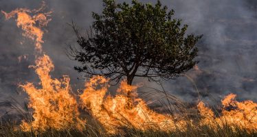 La Provincia vuelve a tener niveles de peligro extremos por incendios forestales