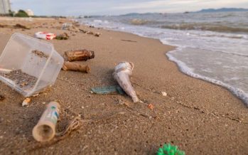Este sábado se realizará la 9ª Edición del Censo de Residuos de la Costa Atlántica Bonaerense