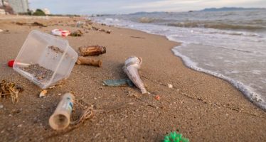 Este sábado se realizará la 9ª Edición del Censo de Residuos de la Costa Atlántica Bonaerense