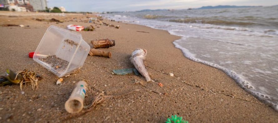 Este sábado se realizará la 9ª Edición del Censo de Residuos de la Costa Atlántica Bonaerense