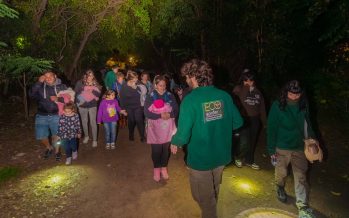 Secretos bajo la luna: así se vivió la última expedición nocturna en el EcoParque de San Fernando