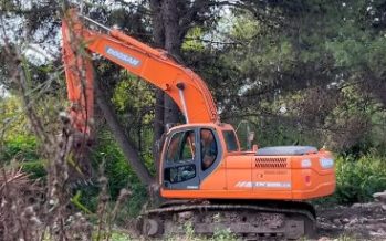 «No es limpieza, es deforestación»: el grito de los vecinos ante la destrucción del bosque en Boulogne