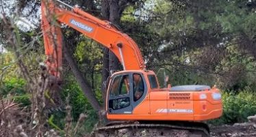 «No es limpieza, es deforestación»: el grito de los vecinos ante la destrucción del bosque en Boulogne