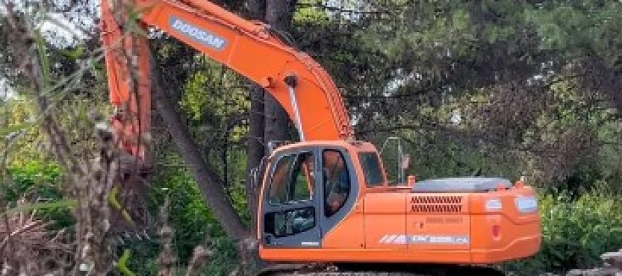 «No es limpieza, es deforestación»: el grito de los vecinos ante la destrucción del bosque en Boulogne