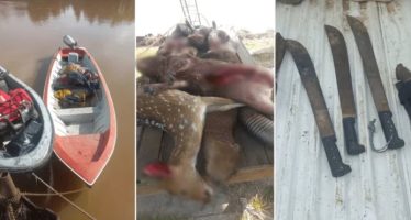 Un asesor del municipio de Zárate demorado por caza furtiva en las islas