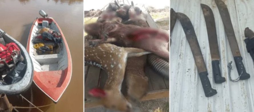 Un asesor del municipio de Zárate demorado por caza furtiva en las islas