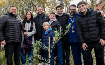 Plantaron un nuevo olivo traído de Tierra Santa en la Plaza de Olivos