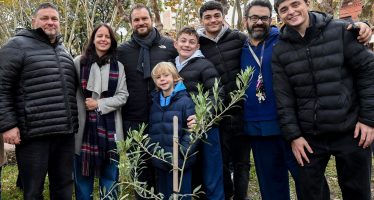 Plantaron un nuevo olivo traído de Tierra Santa en la Plaza de Olivos