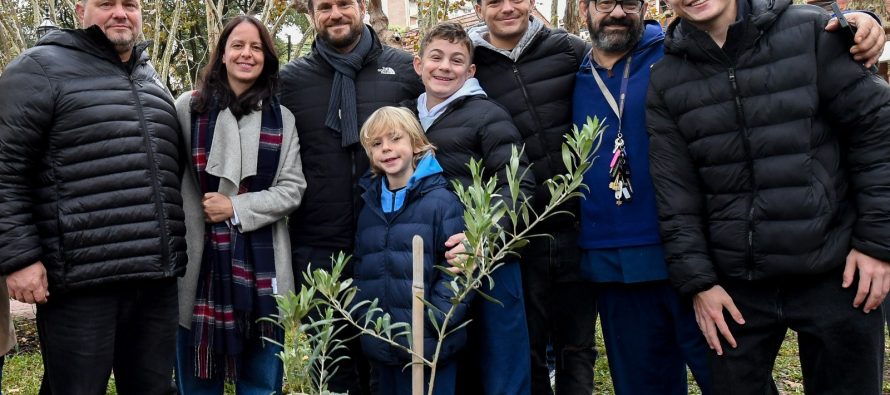 Plantaron un nuevo olivo traído de Tierra Santa en la Plaza de Olivos