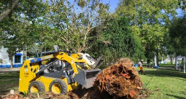 Isla Martín García: Intensifican las acciones para el control del picudo rojo de las palmeras