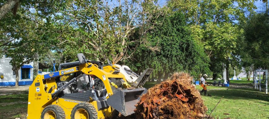 Isla Martín García: Intensifican las acciones para el control del picudo rojo de las palmeras