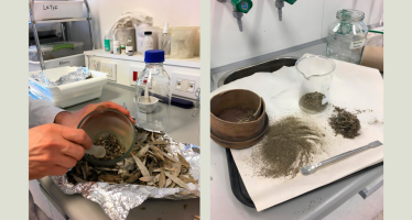Investigadores de la UNSAM desarrollan antiparasitarios naturales para frenar la contaminación en el Delta