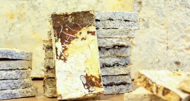 Construcción sustentable: argentinos crean aislantes acústicos con residuos vitivinícolas