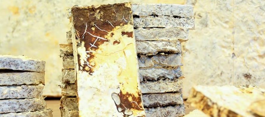 Construcción sustentable: argentinos crean aislantes acústicos con residuos vitivinícolas