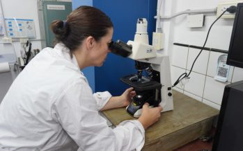 Mar del Plata: una investigación busca convertir residuos del puerto en bioplásticos