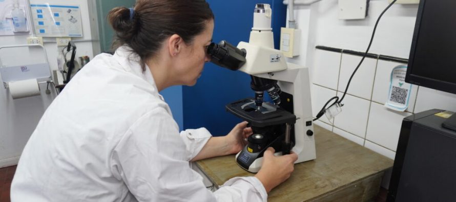 Mar del Plata: una investigación busca convertir residuos del puerto en bioplásticos