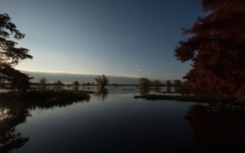 Causa Atanor: indagatoria para directivos de la agroquímica y funcionarios por contaminar el Río Paraná