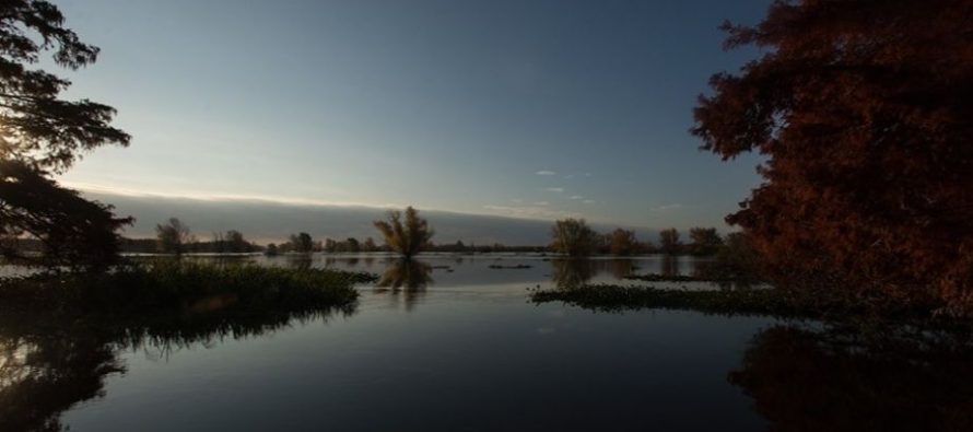 Causa Atanor: indagatoria para directivos de la agroquímica y funcionarios por contaminar el Río Paraná