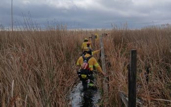 Prevención de incendios en el Parque Nacional Ciervo de los Pantanos: se realizaron tareas de mantenimiento