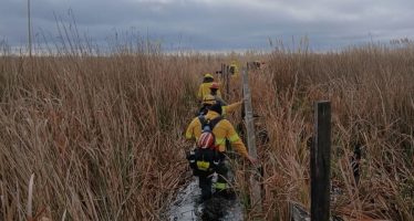 Prevención de incendios en el Parque Nacional Ciervo de los Pantanos: se realizaron tareas de mantenimiento