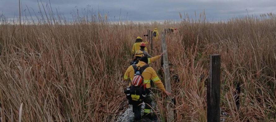 Prevención de incendios en el Parque Nacional Ciervo de los Pantanos: se realizaron tareas de mantenimiento