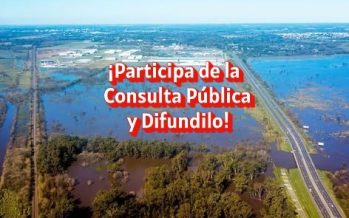Escobar: Llaman a consulta pública por obras que amenazan los humedales del río Luján y alertan sobre el riesgo de inundaciones