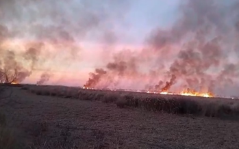 Llamas en el Delta del Paraná: investigan quemas intencionales frente a Ramallo y San Pedro