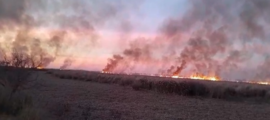 Llamas en el Delta del Paraná: investigan quemas intencionales frente a Ramallo y San Pedro
