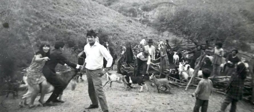 El sentido en disputa: proyectan el elogiado film «Nuestra tierra» en el Teatro Otamendi de San Fernando