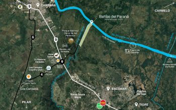 Ambientalistas reclaman el desarchivo de una causa por destrucción del Parque Nacional Ciervo de los Pantanos