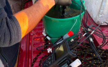 Nuevo monitoreo estacional de calidad del agua en el Río Reconquista