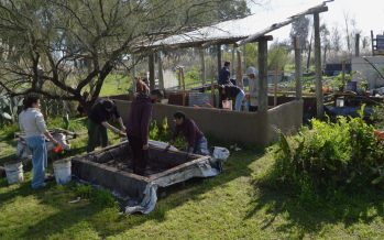 Punta Querandí: cómo es conocer «desde adentro» el territorio de la resistencia indígena