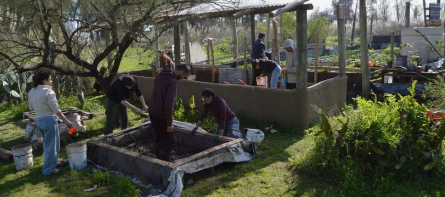 Punta Querandí: cómo es conocer «desde adentro» el territorio de la resistencia indígena